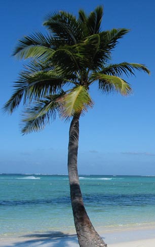 Grand Cayman Islands Vacation Cottage Rentals